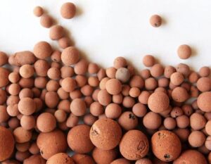 Read more about the article Clay Pebbles: What They Are and How to Use Them in Hydroponics
