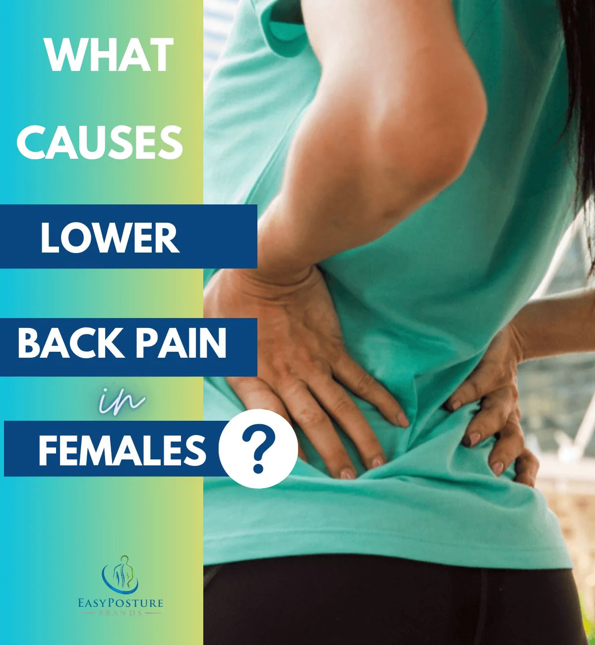 Read more about the article Female Lower Back Pain: Understanding and Treatment Options