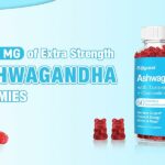 Ashwagandha Gummies Glossary